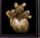 龍甲-魔化的4種龍心.png