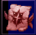 祝福-一般防具.png