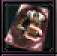 新遺忘-歐吉王圖鑑.png