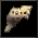 2026-05-04_082207.png